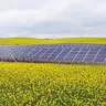 large scale Sharp PV plant in Europe
